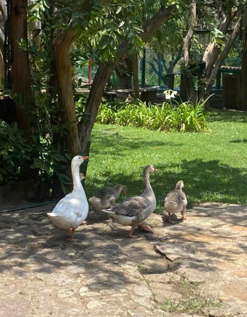 Hosteria Campestre San Fermin Ráquira Eksteriør bilde